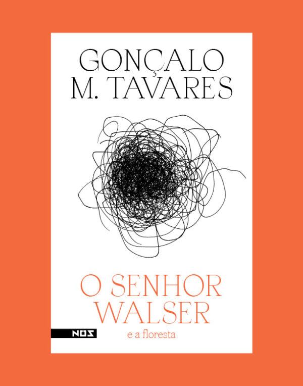 O senhor Walser e a floresta