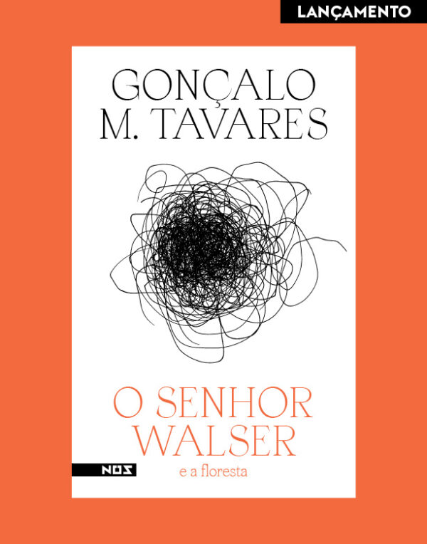 O senhor Walser e a floresta