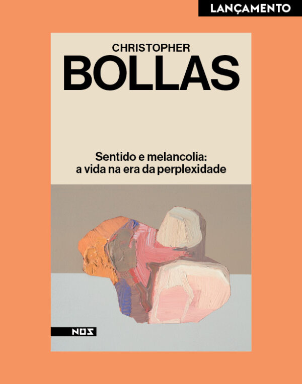 Sentido e melancolia: a vida na era da perplexidade